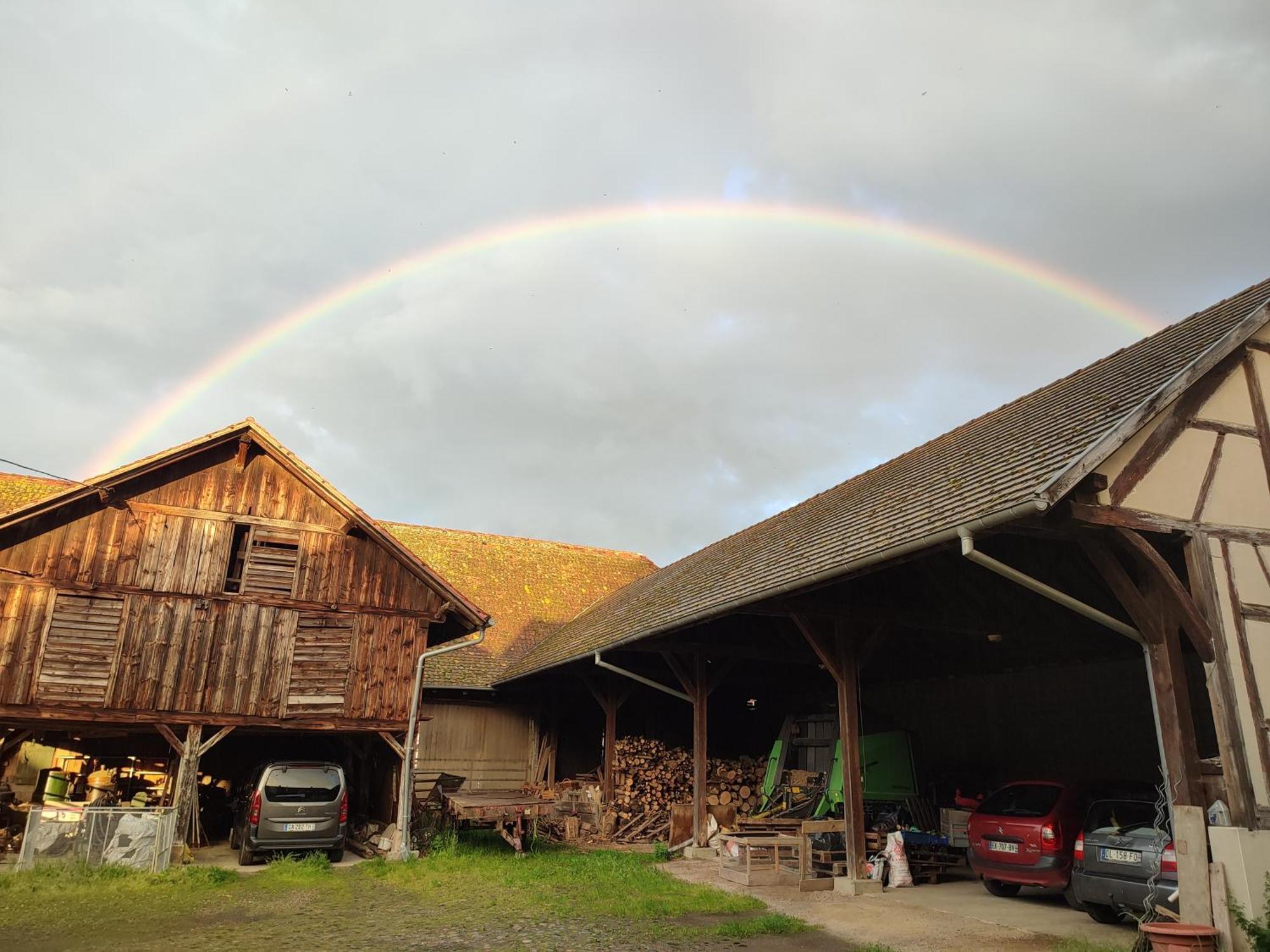 Chez Marguerite Gites A La Ferme Horbourg-Wihr Экстерьер фото