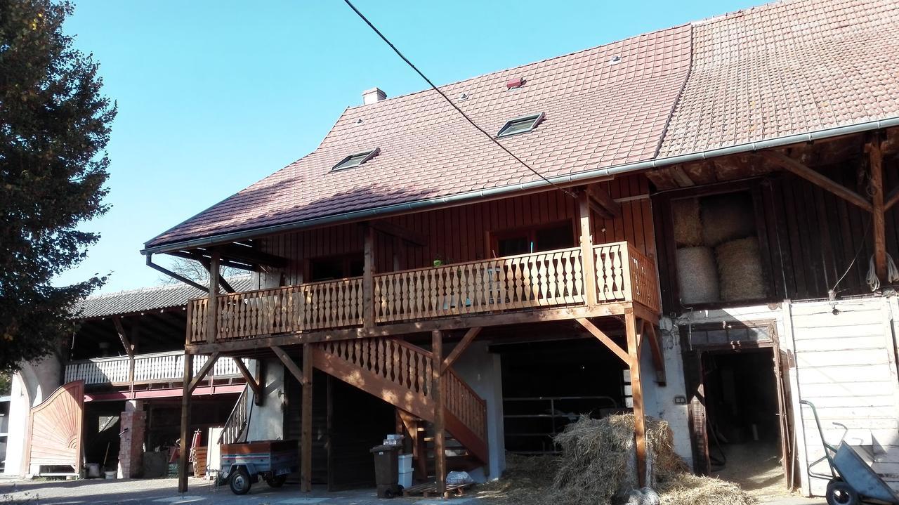 Chez Marguerite Gites A La Ferme Horbourg-Wihr Экстерьер фото
